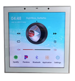 WALL AMPLIFIER Android touch screen Tuya 100W MASTER TEAM OHM
